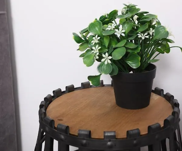 Apartament Opl Executive Salonic